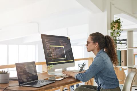 Software development-side-view